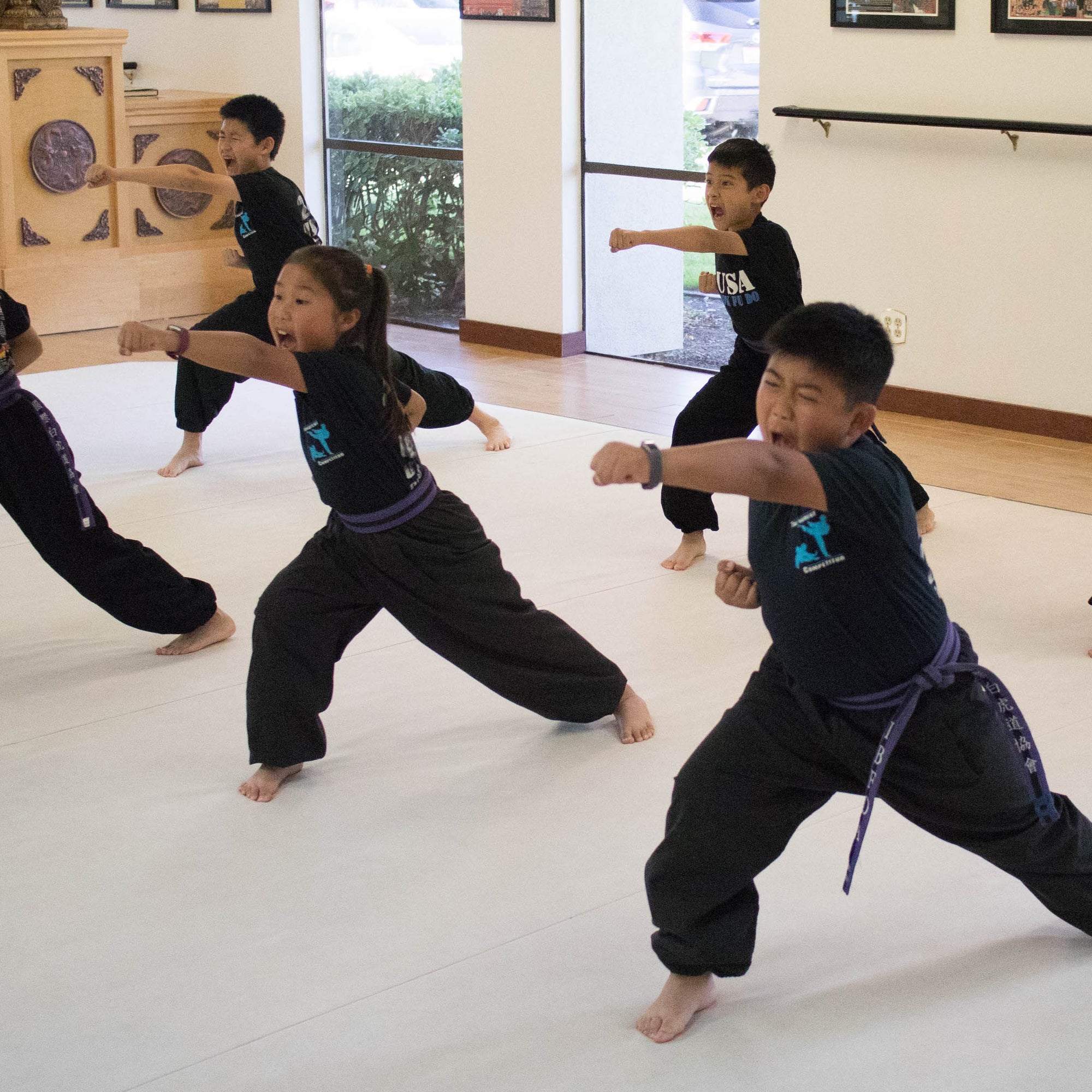 Wushu, Chinese Martial Arts 