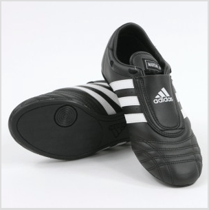 Adidas Shoes - East West Kung Fu Schools